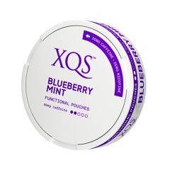 XQS - Blueberry Mint (Koffein porsjon, 50mg)